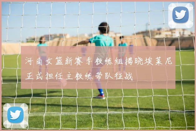 河南女篮新赛季教练组揭晓埃莱尼正式担任主教练带队征战